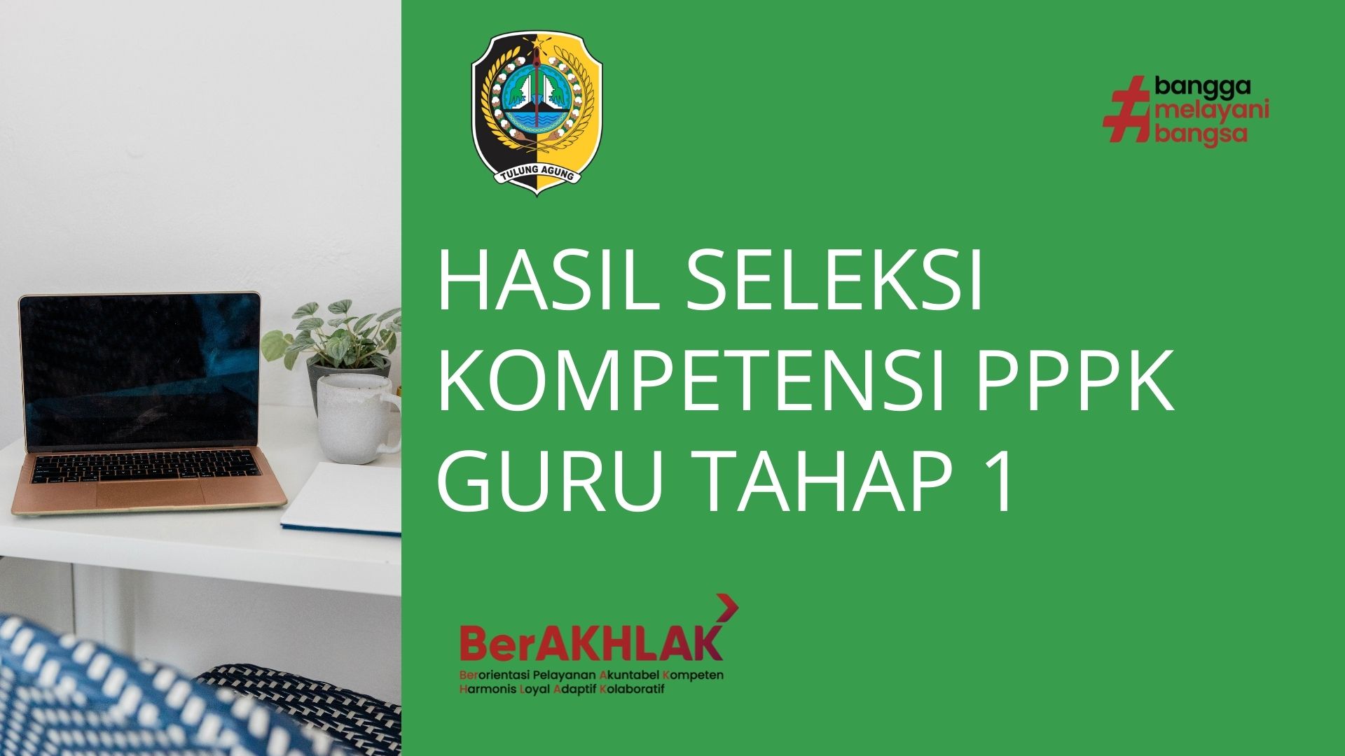 Gambar Hasil Seleksi Kompetensi PPPK Guru Tahap 1
