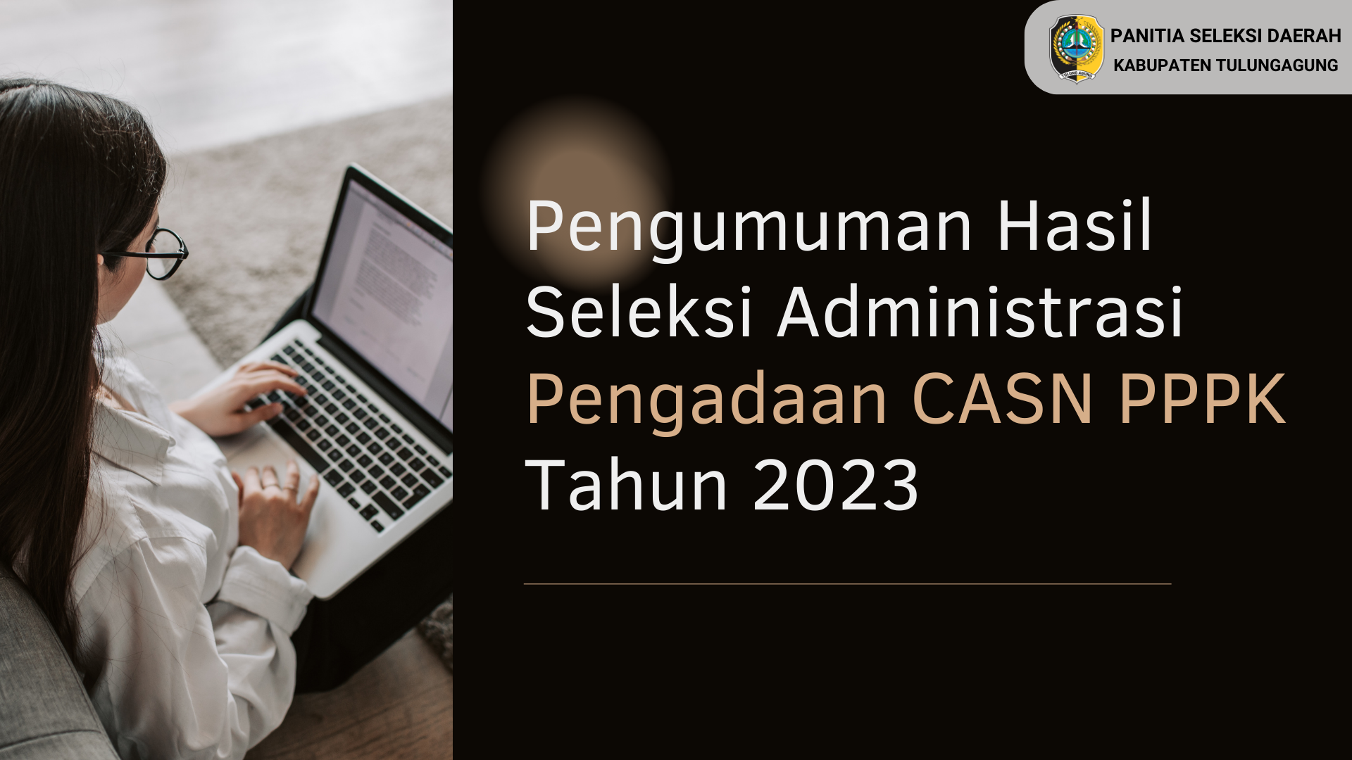 hasil seleksi administrasi pppk 2023