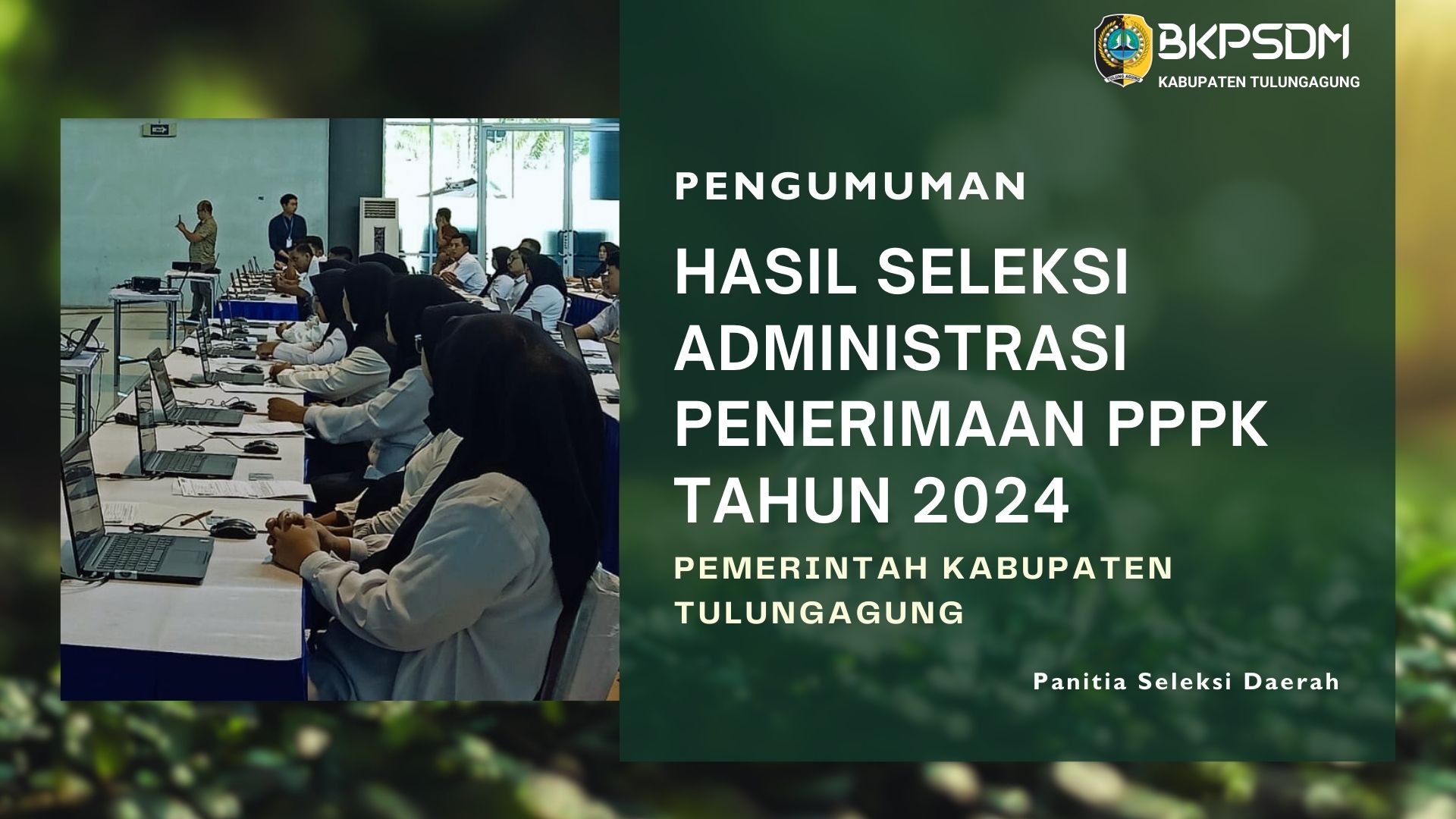 hasil admin pppk 2024