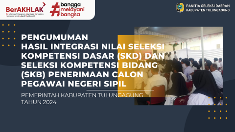 pengumuman pns 2024