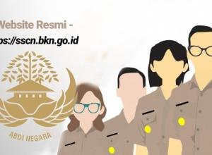 Ilustrasi CPNS