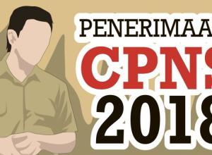 cpns-2018