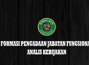Gambar Formasi Analis Kebijakan Publik LAN