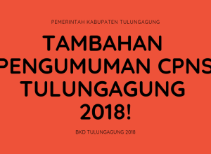 Gambar Tambahan Pengumuman CPNS Tulungagung 2018