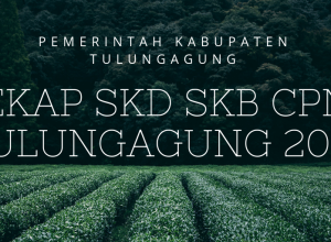 Ilustrasi rekap skd skb