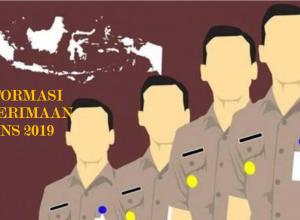 Penerimaan CPNS Tahun 2019