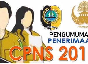 Penerimaan CPNS Tulungagung 2019
