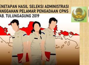 Hasil Seleksi Administrasi Sanggahan Pelamar Pengadaan CPNS PemkabTulungagung 