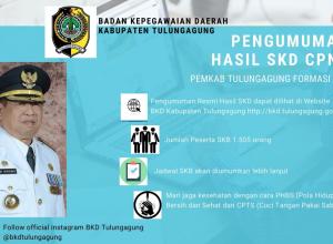Pengumuman SKD CPNS tulungagung 2019