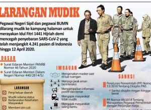 PNS Dilarang Mudik