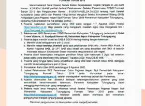Pengumuman SKB CPNS Formasi 2019