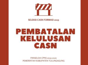 Gambar Artikel Pembatalan Kelulusan CPNS 
