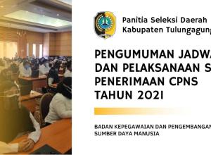 gambar artikel pengumuman SKB 2021