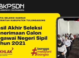 gambar hasil akhir cpns 2021