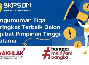 gambar 3 terbaik