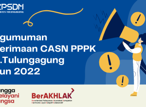 gambar pppk 2022