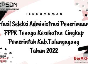 nakes pppk 2022
