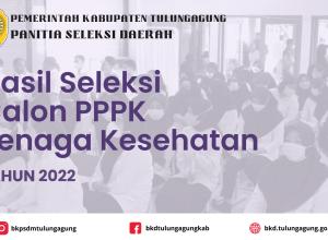 HASIL PPPK NAKES 2022