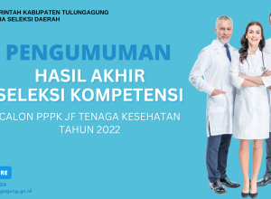 pengumuman hasil seleksi pppk nakes 2022