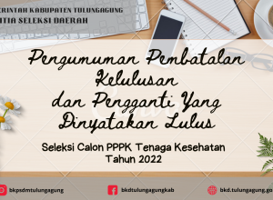 PEMBATALAN DAN PENGGANTI NAKES PPPK 2022