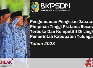 gambar seleksi jpt pratama