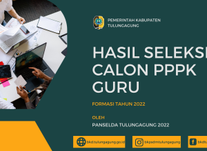 ilustrasi pengumuman calon pppk guru 2022