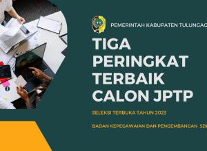 gambar seleksi tiga