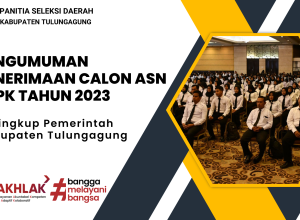 pppk 2023