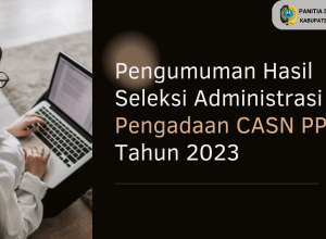 hasil seleksi administrasi pppk 2023