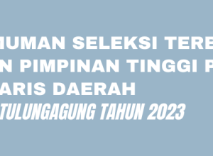 PENGUMUMAN SELEKSI TERBUKA JABATAN PIMPINAN TINGGI PRATAMA SEKRETARIS DAERAH KABUPATEN TULUNGAGUNG TAHUN 2023