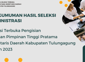 PENGUMUMAN HASIL ADMIN SELTER  SEKDA 2023