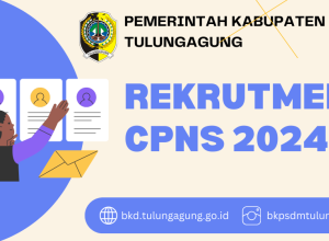 rekrutemen cpns formasi tahun 2024