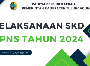 skd cpns 2024