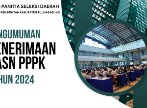 gambar pengumuman pppk 2024