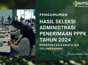 hasil admin pppk 2024