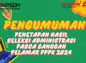 Pengumuman pasca sanggah pelamar pppk 2024