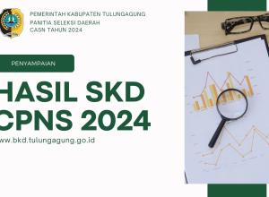 hasil skd cpns 2024