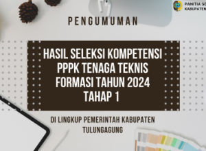 PENGUMUMAN HASIL PPPK TEKNIS TAHAP 1 2024