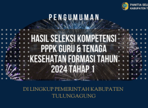 pengumuman pppk nakes dan guru 2024 tahap 1