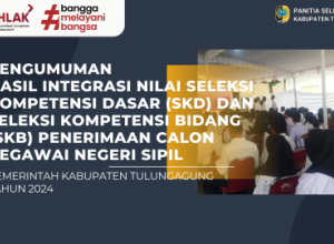 pengumuman pns 2024