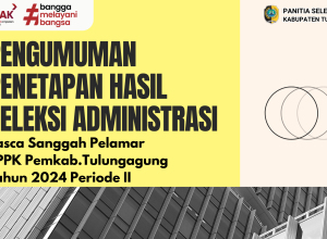 PASCA SANGGAH PPPK 2024 TH 2