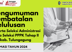 PEMBATALAN KELULUSAN PPPK 2024 