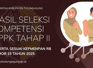 ilustrasi hasil seleksi pppk2 teknis kepmenpan 15 2025