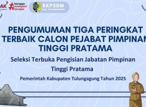 peringat tiga besar selter 2025