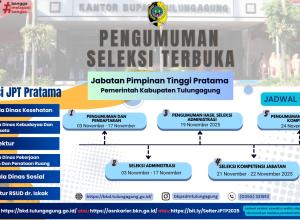 SELTER JP PRATAMA 2025 fix